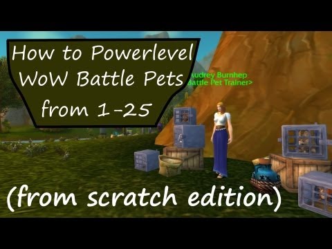 How to Powerlevel Your First WoW Pet Battle Team (from scratch)