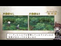 Vidéo de gameplay de The Alliance Alive  PC