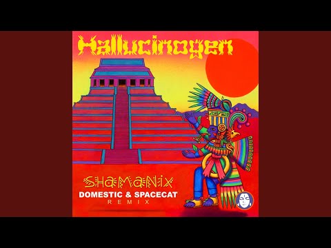Shamanix (Domestic & Spacecat Remix)