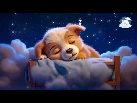 Relajación Profunda: Sanar el Estrés, la Ansiedad y los Estados Depresivos para una Vida Equilibrada