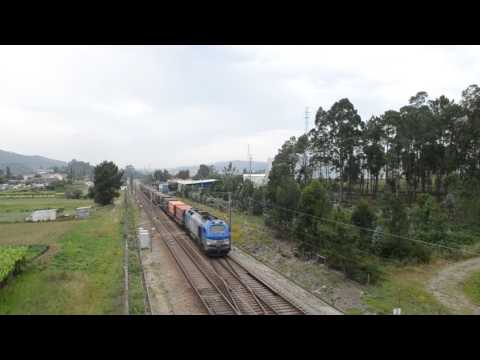 Comsa 335.002 | 98202 - São Martinho do Campo