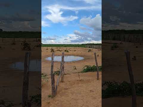 vendo essa grande oportunidade 21 hectares em bodoco pe 8799102 3154