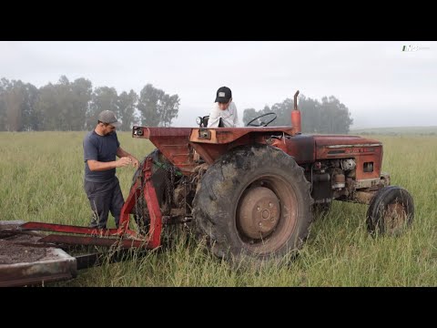 Producción de queso artesanal en predio de Colonización en San José