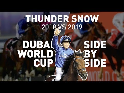 THUNDER SNOW - Dubai World Cup Comparison: 2018 vs 2019 side-by-side
