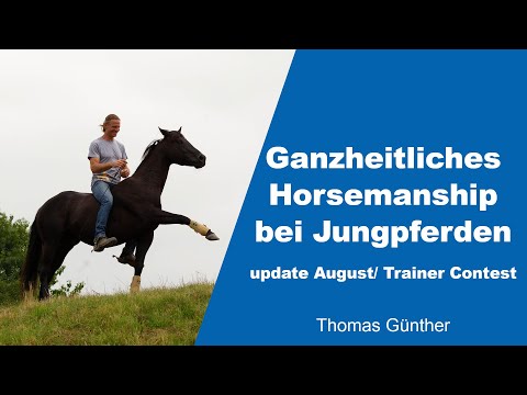 Ganzheitliches Horsemanship bei Jungpferden | Thomas Günther | Trainer Contest 2021 Update August