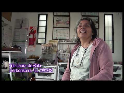 ¿Cuáles son la propiedades del laurel?