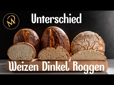 Differences in processing wheat, spelt and rye dough / Baking tips