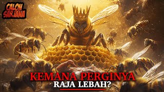 Download lagu Why Is There No King Bee? Was the Queen Bee Really Killed? mp3