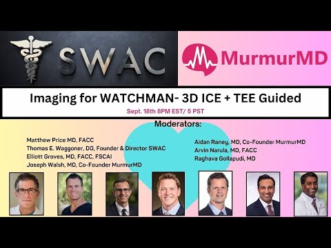 LAAC Imaging in 2025: 3D ICE vs TEE—Techniques, Safety & Workflow | SWAC Panel Sept. 25