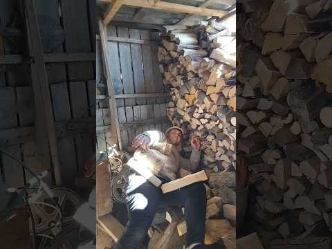 AU CĂZUT TOATE LEMNELE PESTE TATA!😂 #comedy  #pamflet