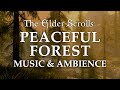 The Elder Scrolls Music Ambience Peaceful Forest 5 Beautiful Scenes With Calm Music Mix 6 Hrs