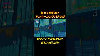 【ドンキーコングバナンザ】知って得する？小ネタ【貯水湖のコンテナ】