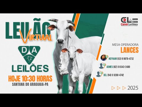 Canalleiloes.com | LEILÃO VIRTUAL DA LEILÕES | SANTANA DO ARAGUAIA PARÁ-PA