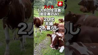 スイス１カ月の生活費🇨🇭大公開