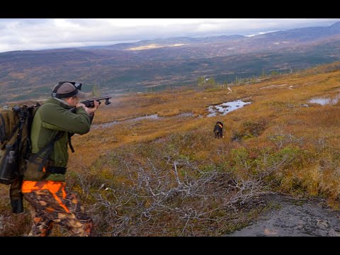 Ta med deg en - Ep. 4 - Rype- og gåsejakt!