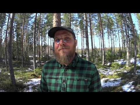 Metsolan Metsäkoulu 273 - Hiilensidonnalla metsänomistajalle tukko kahisevaa