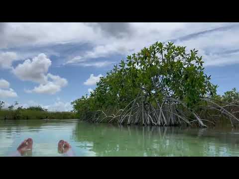 Floating through Sian Ka'an biosphere near Tulum