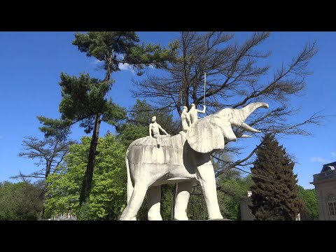 Giant Cote d'or Elephant near Brussels (Tervuren)