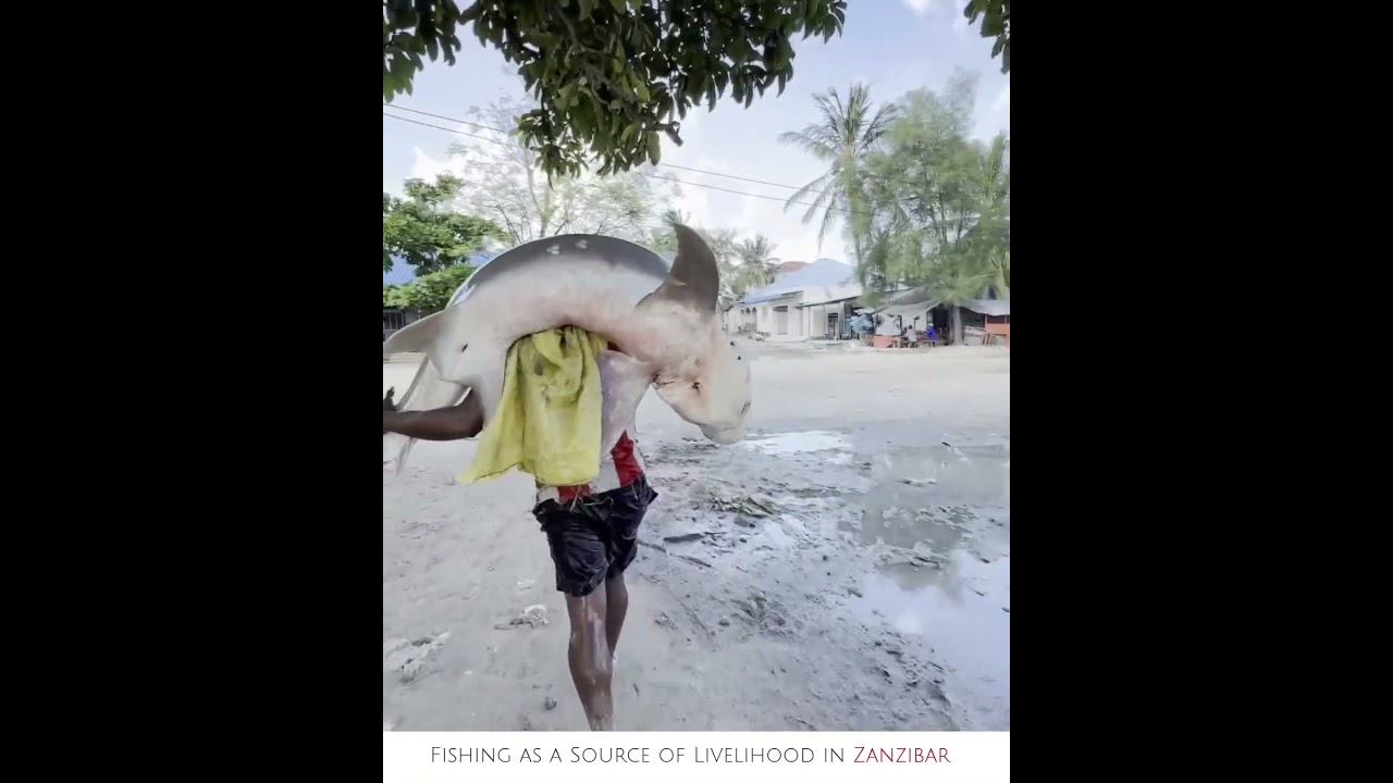 Fishing as a Source of Livelihood in Zanzibar