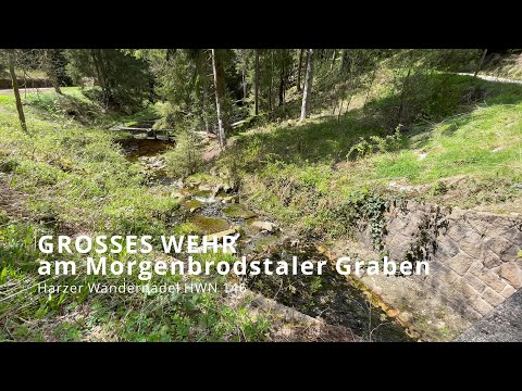 Harzer Wandernadel HWN 146 Großes Wehr + Morgenbrodstaler Graben (Frühling)  [4k]