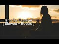 Ishq De Fanniyar Slowed Reverd All Music Video