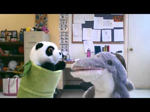 Spanish greetings with Dino Delfin and Bambu