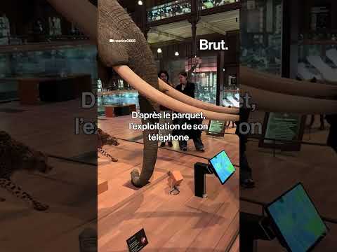 Un gardien de musée surpris en train de photographier sous la jupe d’une visiteuse à Paris.
