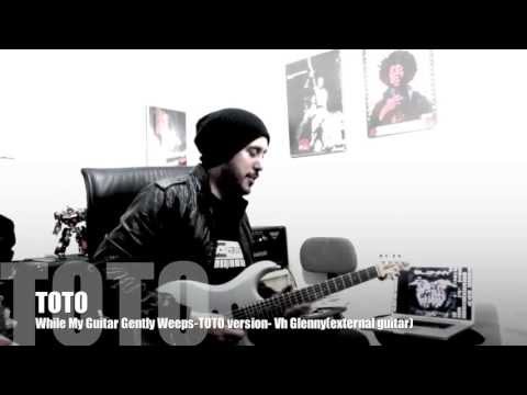 Steve Lukather-While My Guitar Gently Weeps-GLENNY(external guitar)