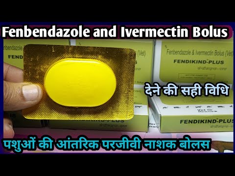 Fendikind Plus Fenbendazole+Ivermectin
