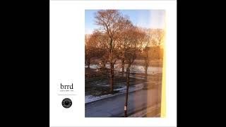 brrd - untitled 26