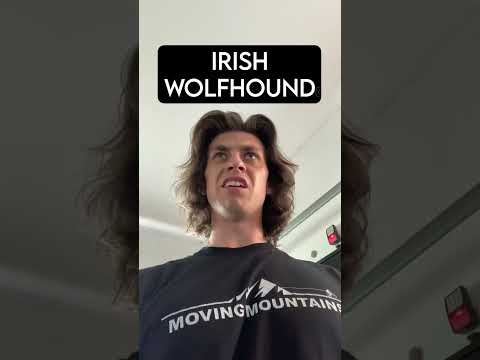 How Dog Breeds React to Robbers PT 10