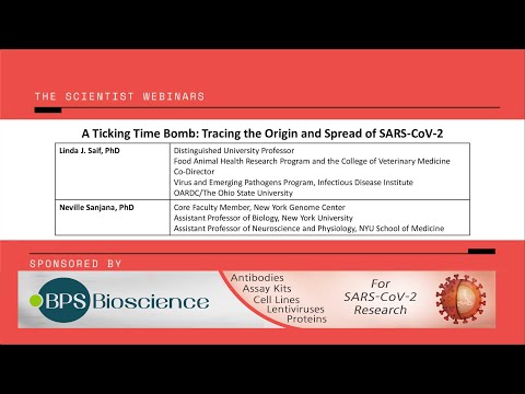 A Ticking Time Bomb: Tracing the Origin and Spread of SARS-CoV-2