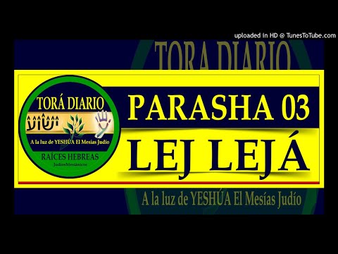 Parasha 03 Lej Leja 3 Aliya
