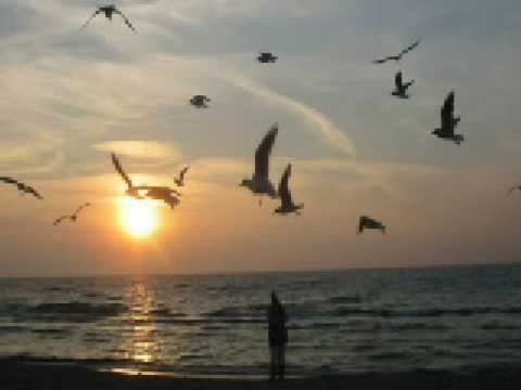 DYSTANS --ZA OKNEM  DESZCZ