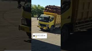 Download lagu auman knalpot srigala truk kalimantan🐺keras!! bikin ngiler🤤 mp3