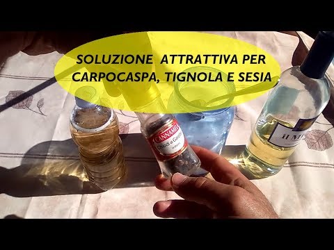 Dolori articolari nel suo dito dal mouse Naberezhnye Chelny sostituzione del ginocchio