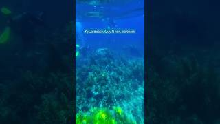 The driving at Ky Co Beach is amazing | Maldives of Vietnam #shorts