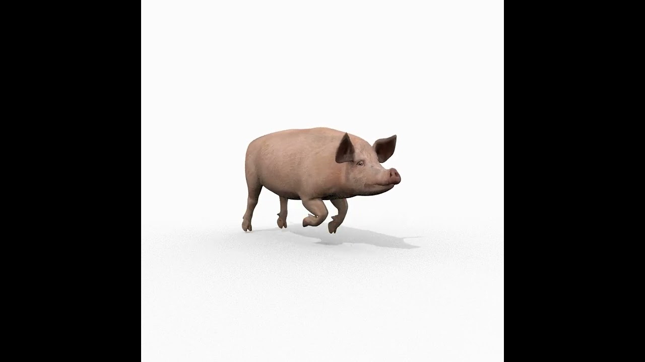 Porky the pig - animated 3d fur model 3D Model