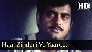 Haai Zindari Ve Yaaro (HD) - Vishwanath Song - Pra