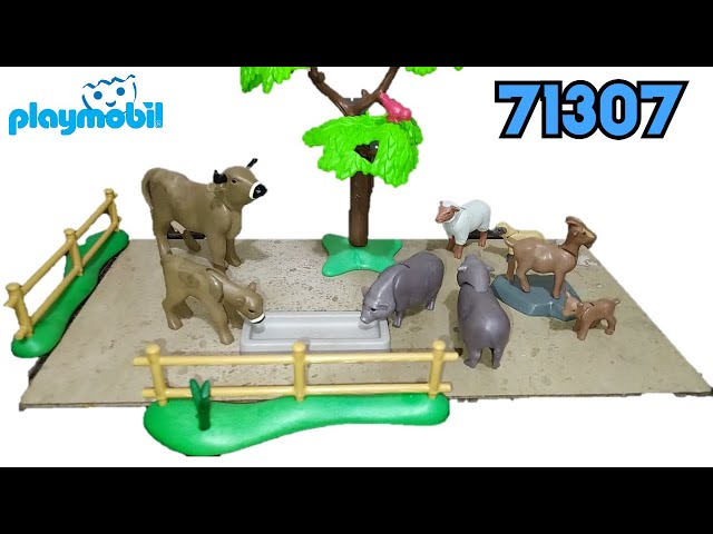 Vídeo relacionado con PLAYMOBIL Country 71307 Set Animales,con adorables Animales de Granja como Vacas, Cabras, ovejas y Cerdos vietnamitas, Juguetes para niños a Partir de 4 años