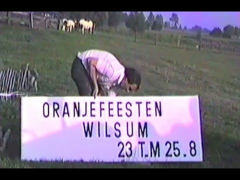 Oranjefeest 1984 - Oranjevereniging Wilsum
