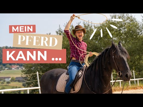 PFERDECAMP Challenge 🐴