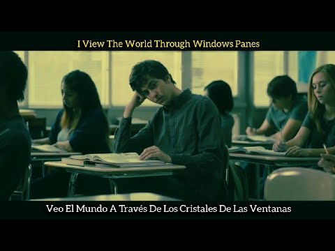 Sunbeam Sound Machine (I Dreamt I Saw You In A Dream) Lyrics Inglés /Español