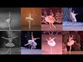 Best Sugarplum Fairies Of All Time