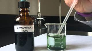 Bromothymol Blue Respiratory Physiology Experiment