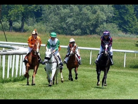 Galopprennen Dielsdorf 19.06.2022
