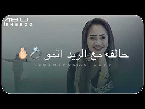 عشه الجبل كنت حابه ️