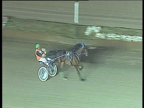 Trotto 01/12/2017 - prova di qualifica