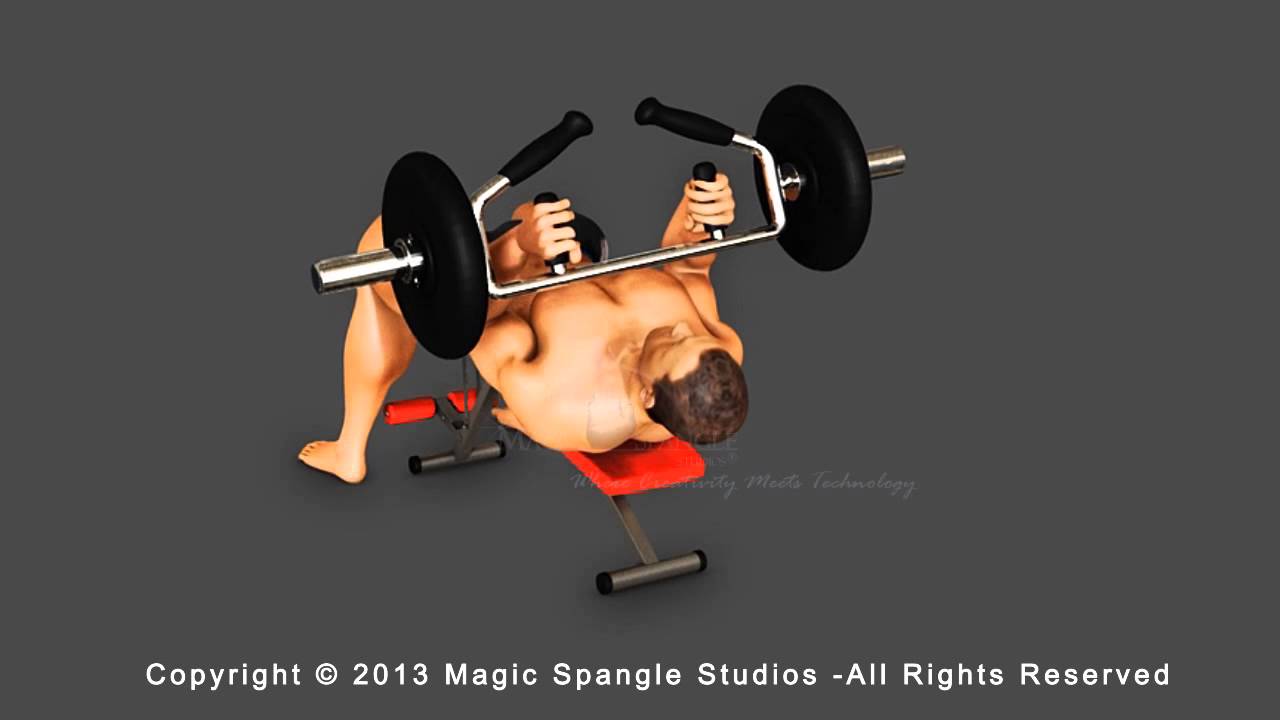 Animated Exercise Video | Animated Workouts Video | Animated Exercises Animated Exercise Video | Animated Workouts Video | Animated Exercises