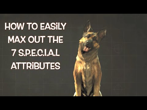 Fallout 4 ~ How To Easily Max Out All 7 S.P.E.C.I.A.L Attributes